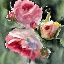 Rose Rose