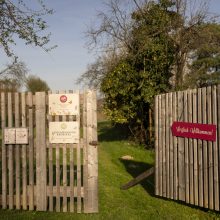 Steffis Naturgarten, Stefanie, Kratzer, MA MAS Steffis Naturgarten, Stefanie, Kratzer, MA MAS