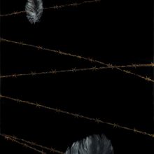 In der Schwebe In der Schwebe