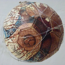 Eigenblut "Für eine friedliche Fussball-Europameisterschaft 2008"