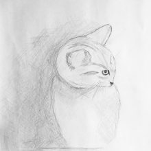 Zeichnung Katze