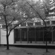 Galerie Stadtpark, David, Komary Galerie Stadtpark, David, Komary