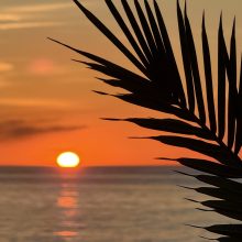 Sonnenaufgang in Torrox Sonnenaufgang in Torrox