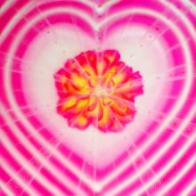 Herzöffnung 3 Herzöffnung 3