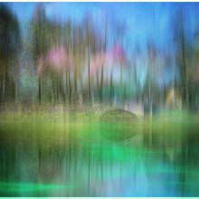 Am Waldteich Am Waldteich