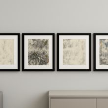 Kompositionen der Natur Kompositionen der Natur