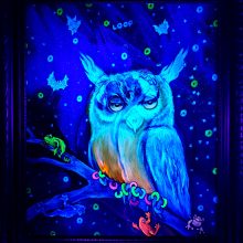 The Fruit-Loop Experience UV-Version The Fruit-Loop Experience UV-Version