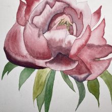 Peony