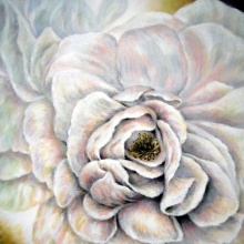 Rose Carrier, 70x70, Acryl