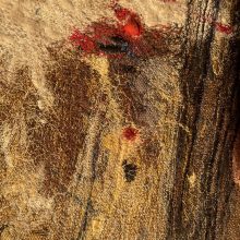 Ohne Titel