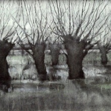 Kopfweiden XV, 2009, 20 x 30 cm, Öl/Hartfaserplatte