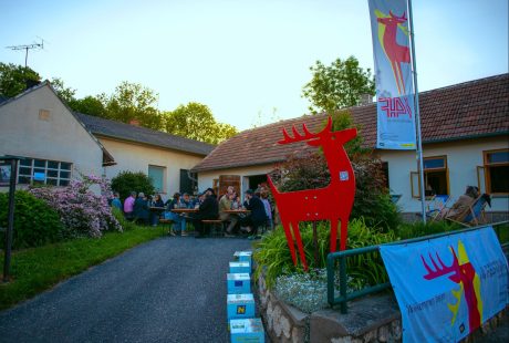 Laufband VF Sommer
