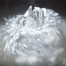 Löwe