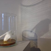 Pinguin
