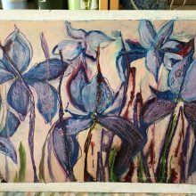 Iris
