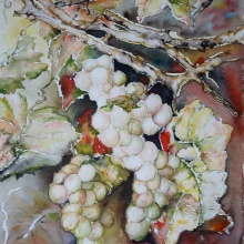 Weinlese, Aquarell