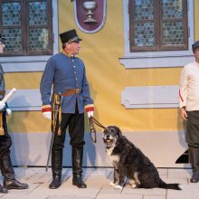 Der brave Soldat Schwejk