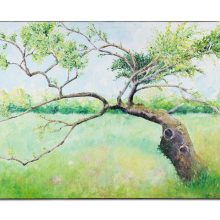 Blossom tree