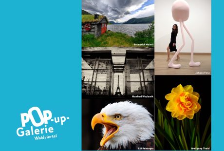 Laufband HP Pop up Galerie Fotoclub VHS Horn