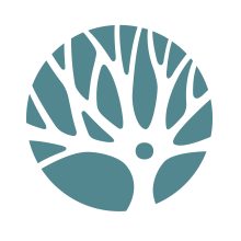 Grafikwald Webdesign Agentur, Dr., Nina, Wanek