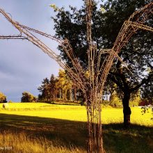 Im Zenit des Sommers