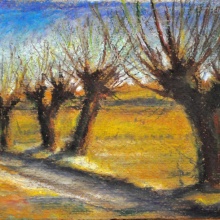 Kopfweiden XX, 2013, 24 x 30 cm, Ölkreide/Karton
