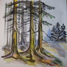 Wald