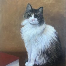 Der Kater Ben