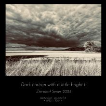 Dark horizon with a little bright II