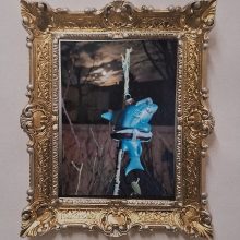 "HAI im Wolfsmond 2025" - "aus der Hai-Serie 2026"