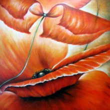 Mohn_Gegenlicht V, 60x60, Öl