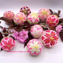 Kirschblüte (Sakura)