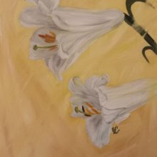 Lilien