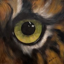 Tigerauge - eye of the tiger