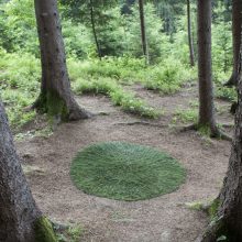 Das Leo (Steiermark, AT)