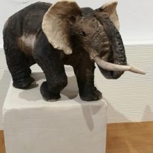 Elefant 