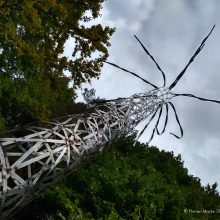 Ein System am Randes des Zusammenbruchs