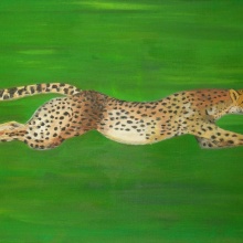 Gepard