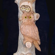 Eule mit Junge