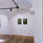 © by Verena Mayrhofer, Kulturvernetzung Niederösterreich