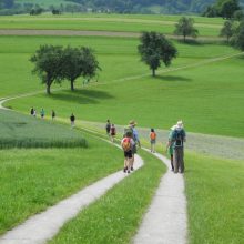 2019 Picknick mit Aussicht, Foto: privat