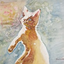 Curious Cat