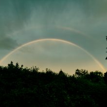 Regenbogen