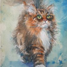 Andrea Faschingleitner