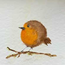 Rotkehlchen&nbsp;