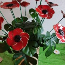 Mohnblumen