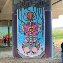 SKD - batjam St.Pölten