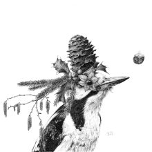 Dezemberkönig