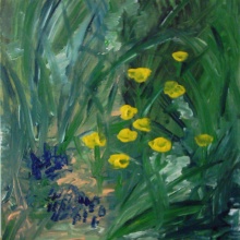 Wiesenblumen