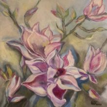 Magnolien